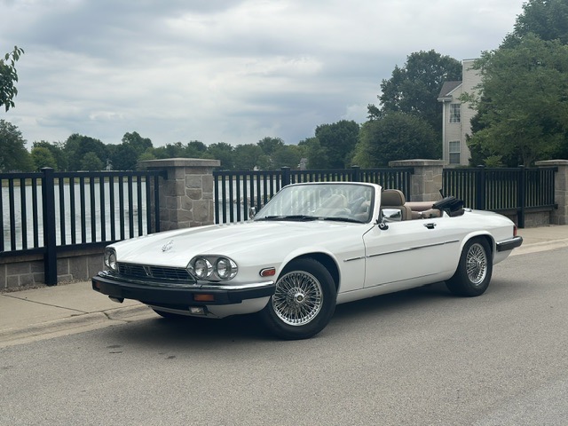 Lucy　0417 Used 1989 Jaguar XJ-Series XJS For Sale (Sold) | Private